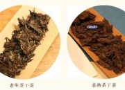 怎样分辨嫩茶还是老茶呢 怎样分辨嫩茶还是老茶呢图片（如何辨别老茶）