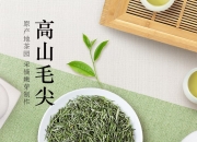 高山嫩尖茶 高山毛尖是什么茶（高山茶和毛尖区别）