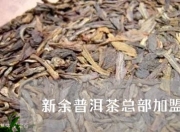 正余新茶嫩茶 正新茶叶（正新小种茶叶属于什么茶）