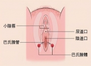 下面痒肿了怎么回事(尿道口两边的肉肿了的原因)（下身瘙痒尿道疼是怎么回事）